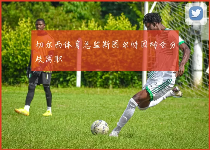 切尔西体育总监斯图尔特因转会分歧离职