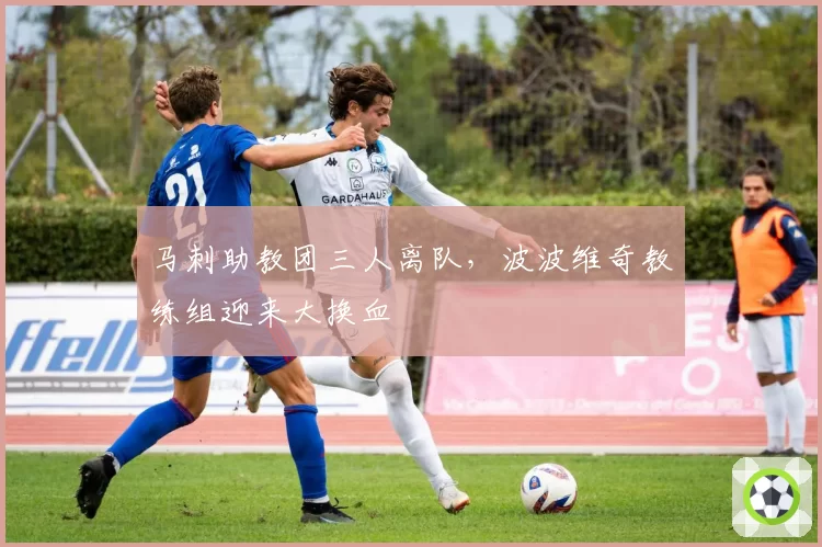 马刺助教团三人离队,波波维奇教练组迎来大换血
